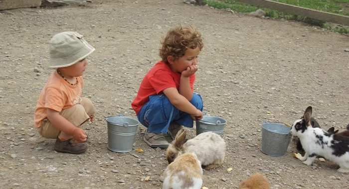ferme pedagogique hautes alpes