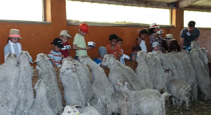ferme pedagogique hautes alpes