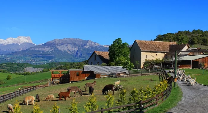 Paysage verdoyant des Hautes-Alpes