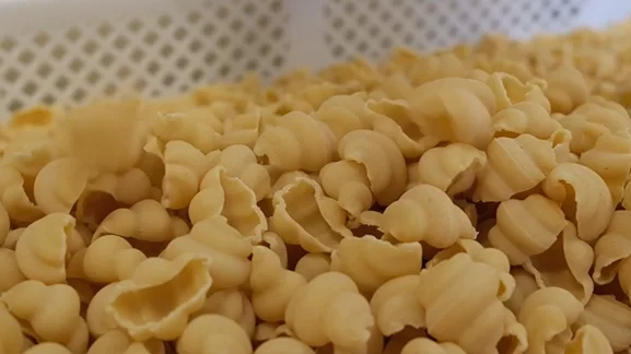 P&acirc;tes s&egrave;ches artisanales