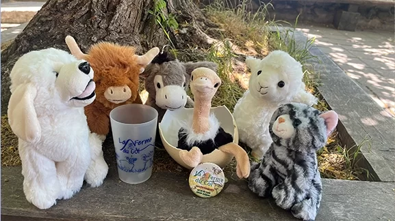 souvenirs ferme